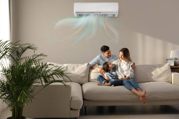 Best Central Air Repair  in Roseau, MN
